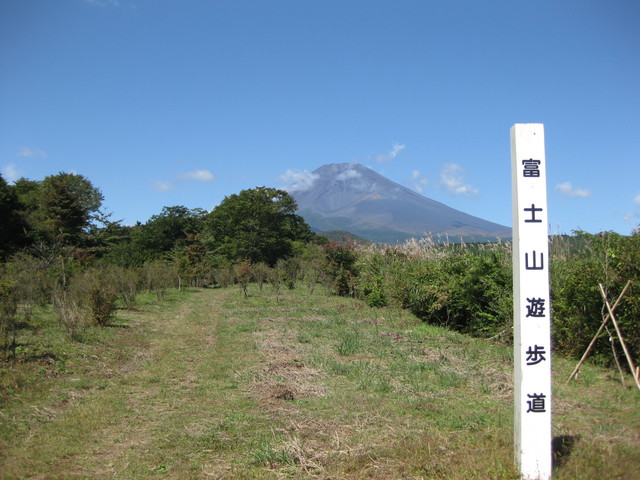 富士山遊歩道の画像 1枚目