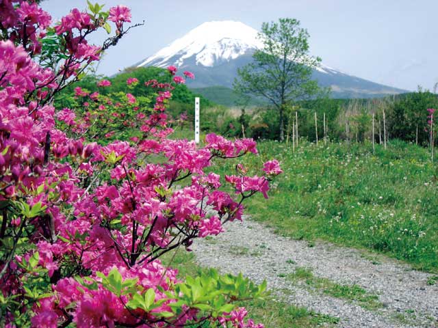 富士山遊歩道