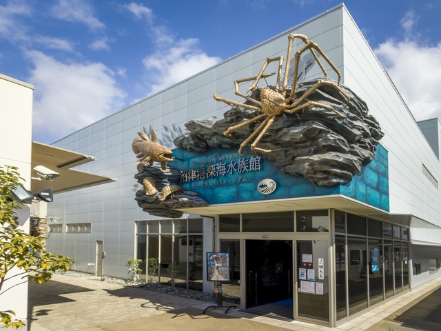 沼津港深海水族館 シーラカンス・ミュージアム