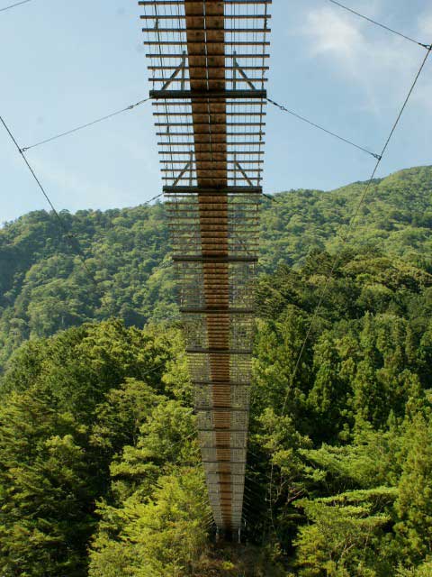 グリーンシャワーロードの画像 3枚目