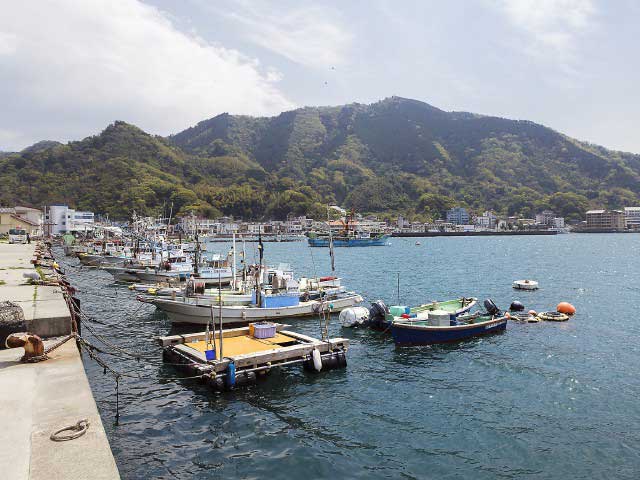 内浦漁協直営 いけすや