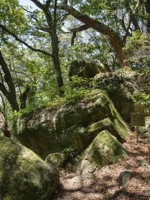 粟ヶ岳山頂 阿波々神社の画像 2枚目