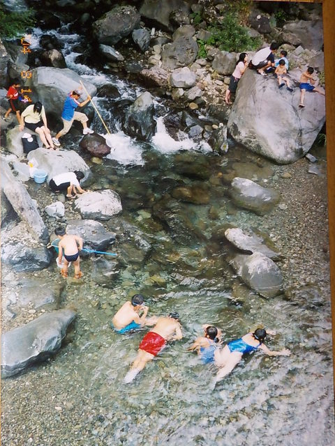 FUJIYAMA泉の森 CAMPING FIELDの画像 4枚目