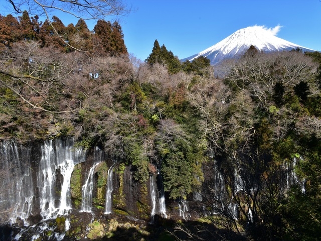 富士箱根伊豆国立公園(静岡県)の画像 1枚目