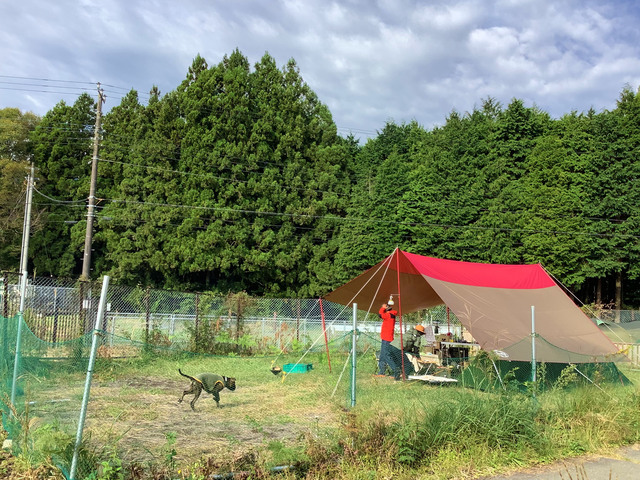 大人の隠れ場グランパパキャンプパークの画像 4枚目