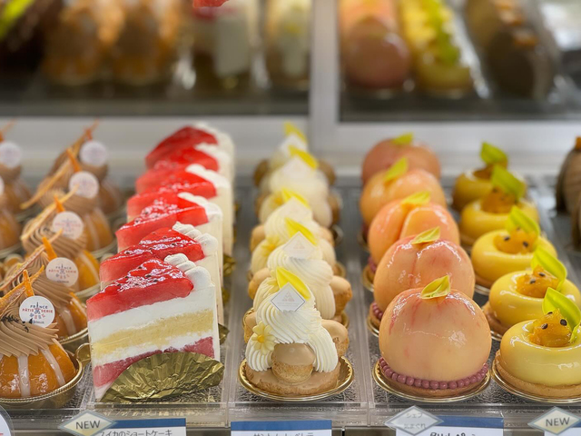 MONT SAINT FUJIの画像 1枚目