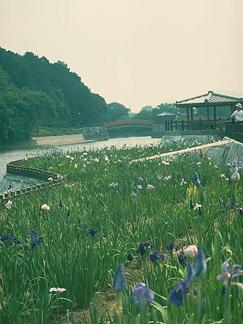 亀鶴公園