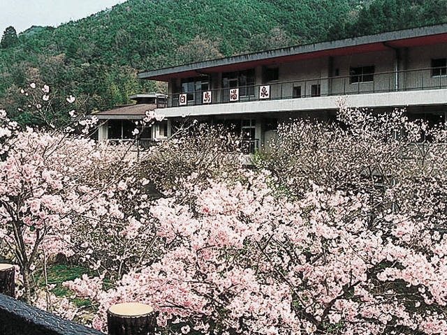 白鳥温泉