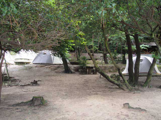 つた島キャンプ場