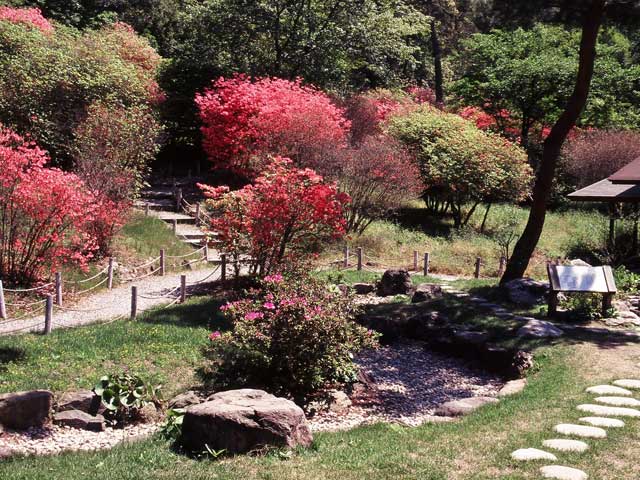 琴弾公園