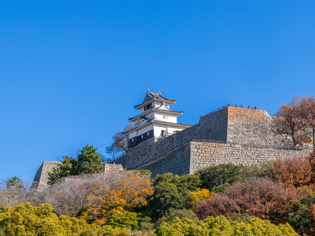 丸亀城の画像 1枚目