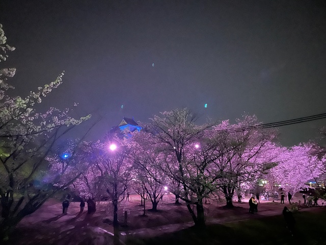 亀山公園の画像 2枚目