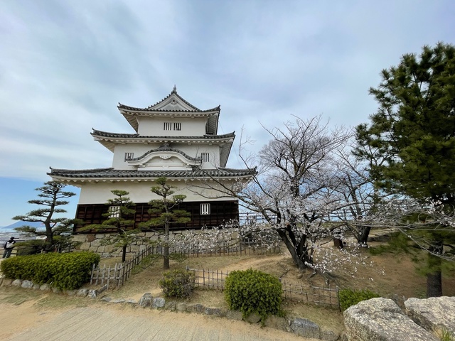 亀山公園の画像 1枚目