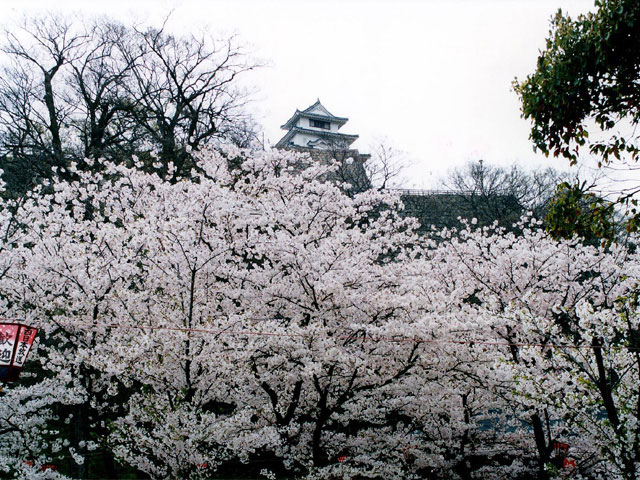 亀山公園の画像 1枚目