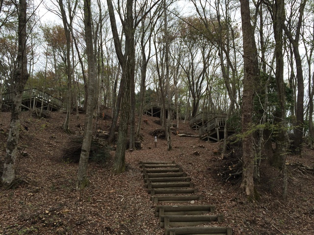 県営大川山キャンプ場の画像 2枚目