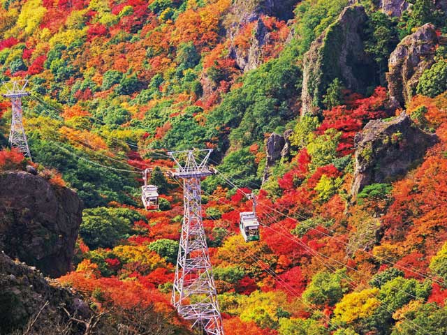 寒霞溪の画像 1枚目