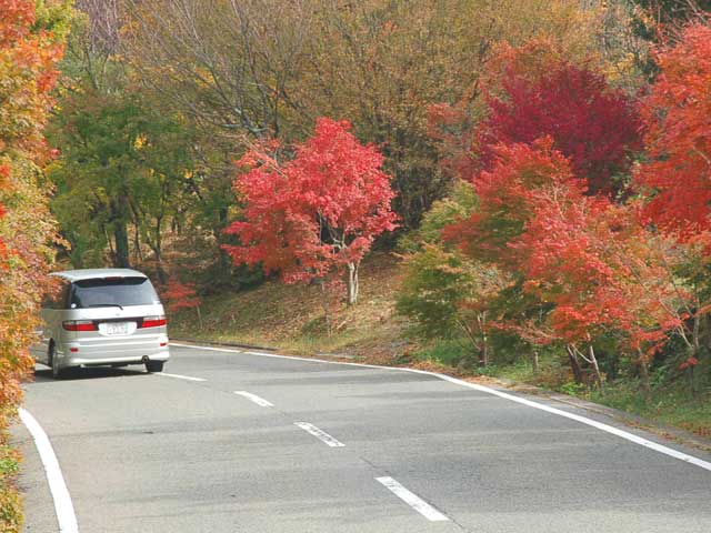 ブルーライン(寒霞渓公園線)の画像 1枚目