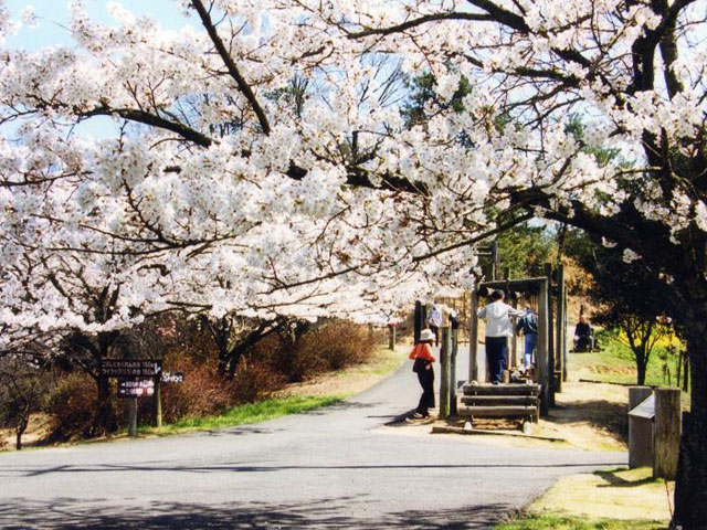 みろく自然公園の画像 1枚目