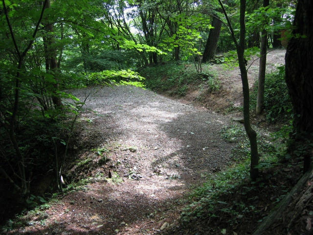 大川山キャンプ場の画像 3枚目
