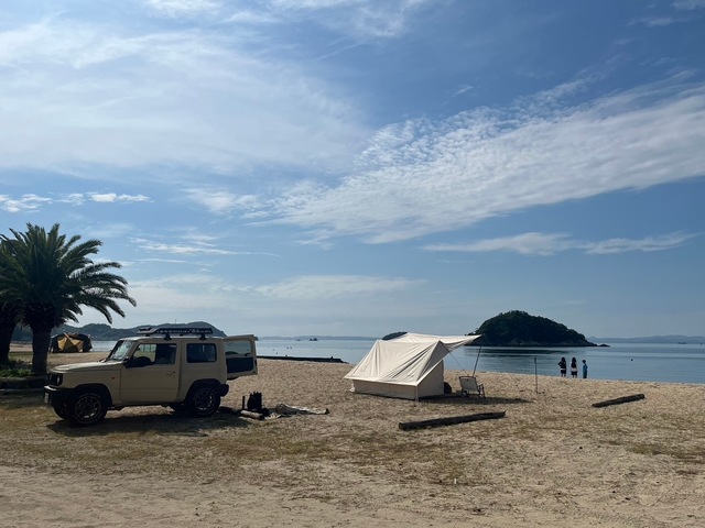 シマアソビの画像 2枚目