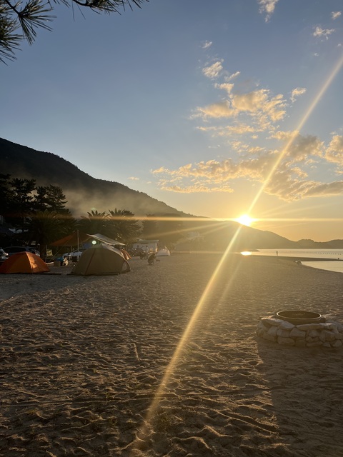 シマアソビの画像 2枚目