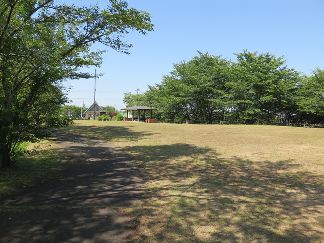 高山航空公園(キャンプ場)の画像 1枚目