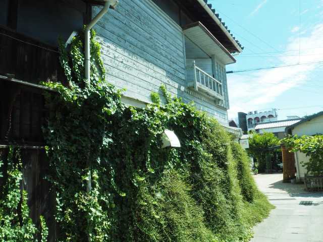 MeiPAMの画像 3枚目