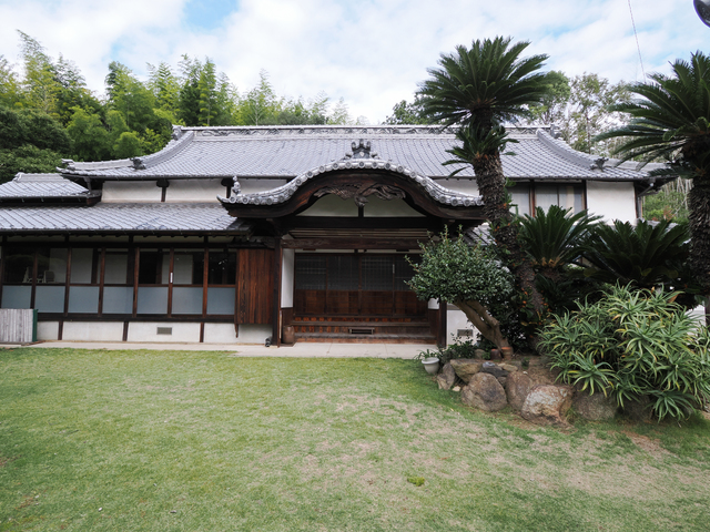 長徳寺のモッコクの画像 2枚目