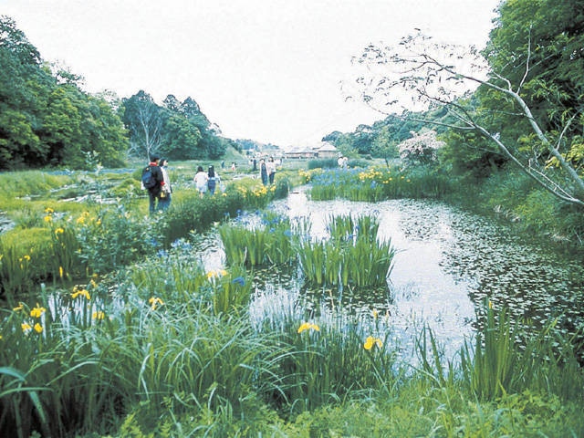 四万十市トンボ自然公園