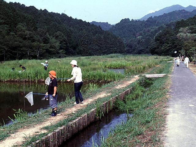 親子トンボ捕り大会
