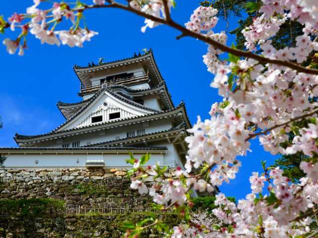 高知城の画像 1枚目