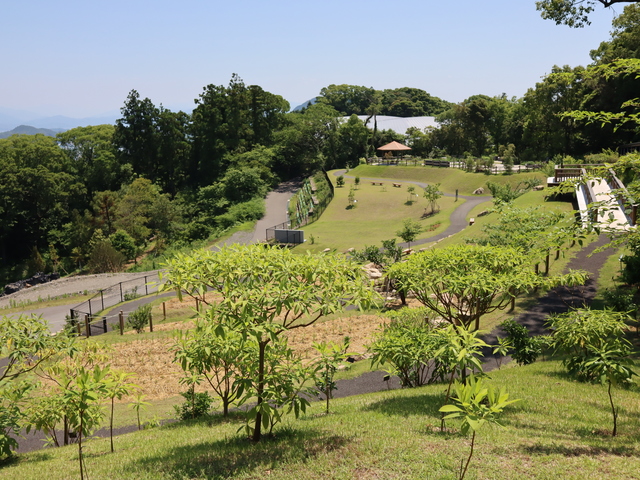 高知県立牧野植物園の画像 2枚目