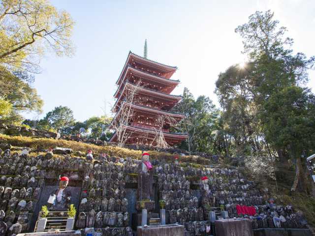 竹林寺の画像 3枚目