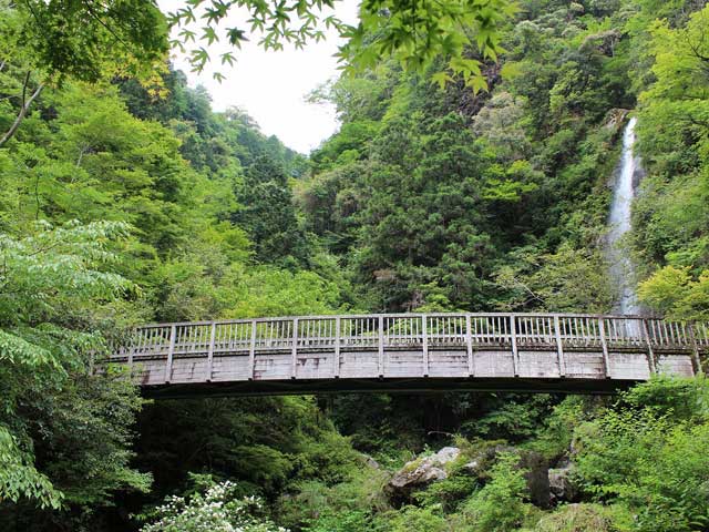大樽の滝の画像 3枚目