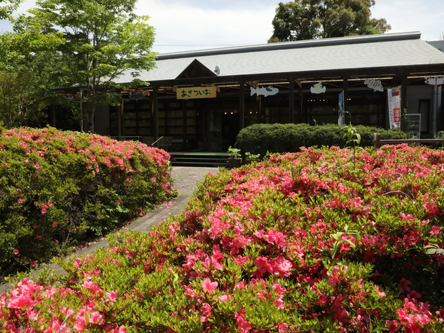 四万十川学遊館(あきついお)の画像 1枚目