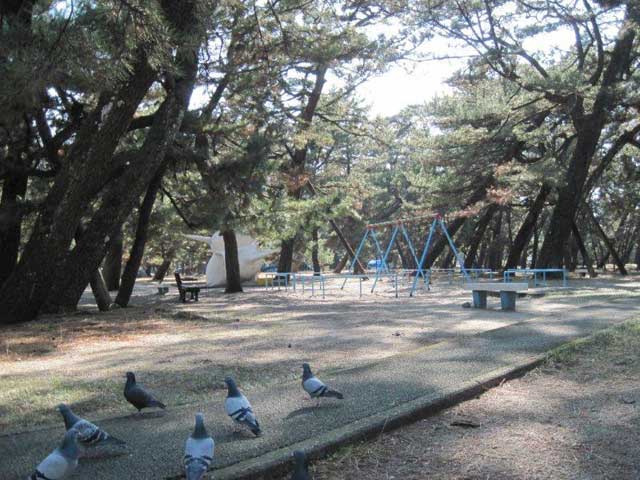 高知県立種崎千松公園の画像 2枚目