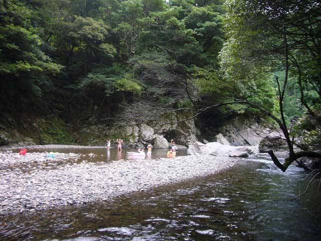 森のコテージの画像 4枚目