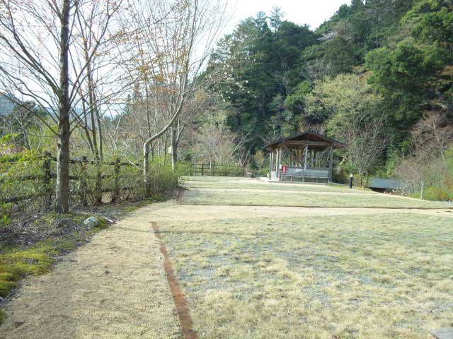 木の根ふれあいの森