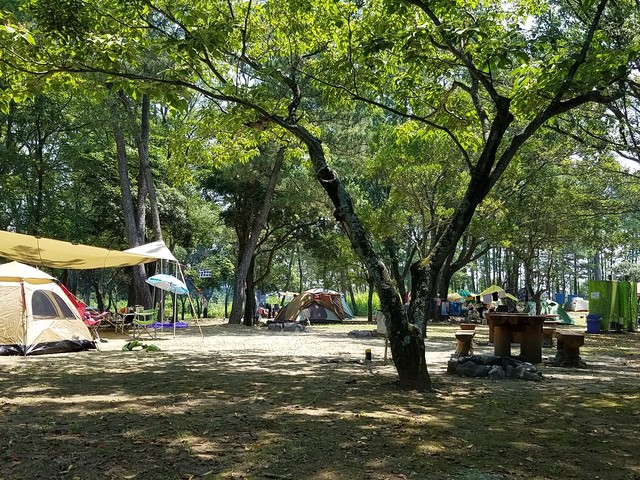 高知県立 土佐西南大規模公園 入野松原キャンプ場の画像 2枚目
