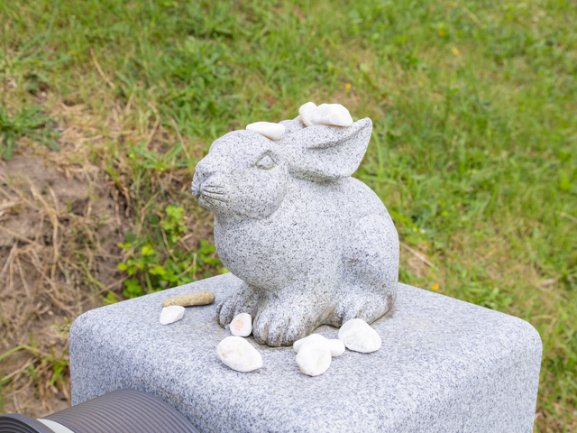 白兎神社の画像 3枚目