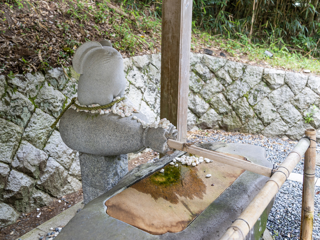 白兎神社の画像 2枚目