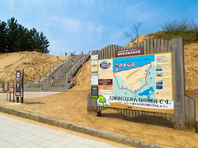 鳥取砂丘の画像 3枚目
