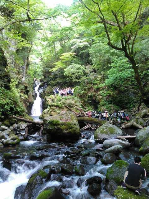 山王谷キャンプ場の画像 2枚目