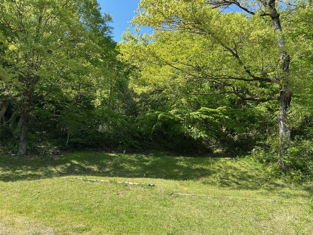 鵜の池公園キャンプ場の画像 3枚目