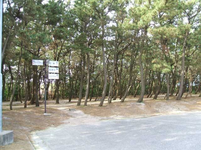 北栄町お台場公園
