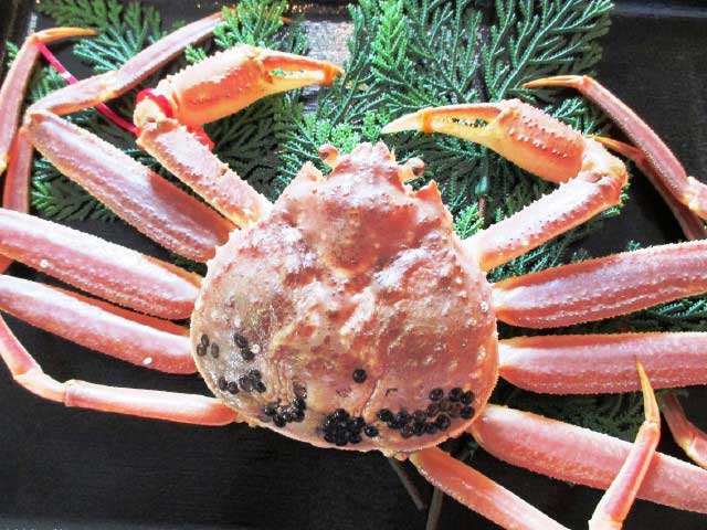 境港水産物直売センター