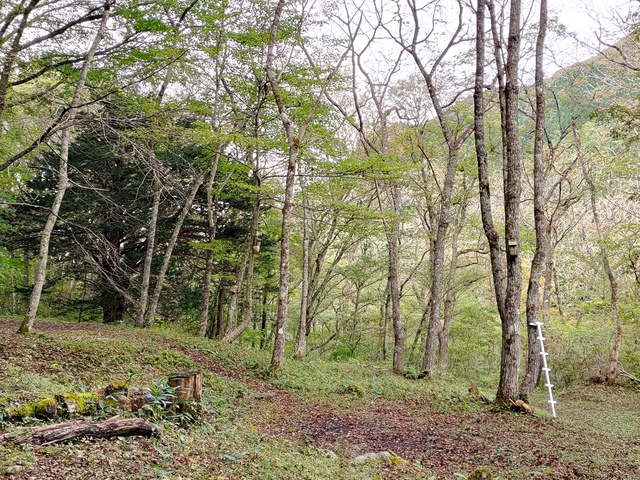 出立山キャンプ場の画像 1枚目