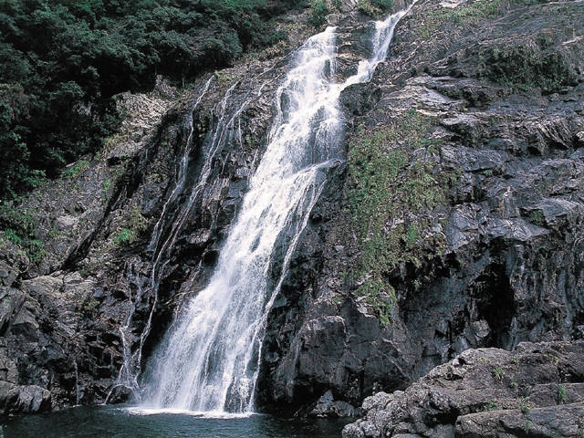 大川の滝の画像 4枚目