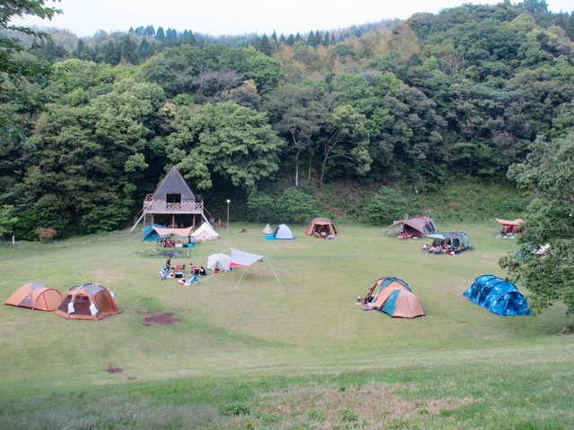 さえずりの森の画像 1枚目