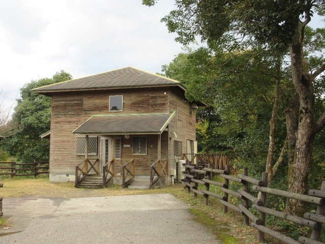 さえずりの森の画像 2枚目